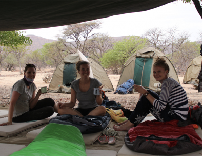 Ökenelefanter i Damaraland