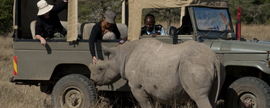 Naturreservat med noshörningar i östra Afrika