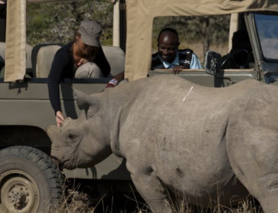 Naturreservat med noshörningar i östra Afrika