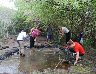 Djur- och naturbevarande på Galapagos