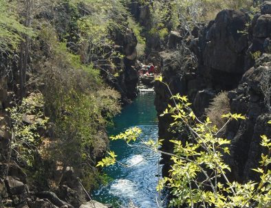 Djur- och naturbevarande på Galapagos